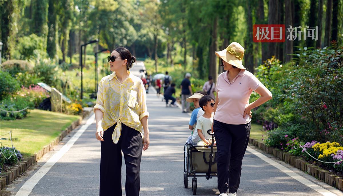 太阳成娱乐